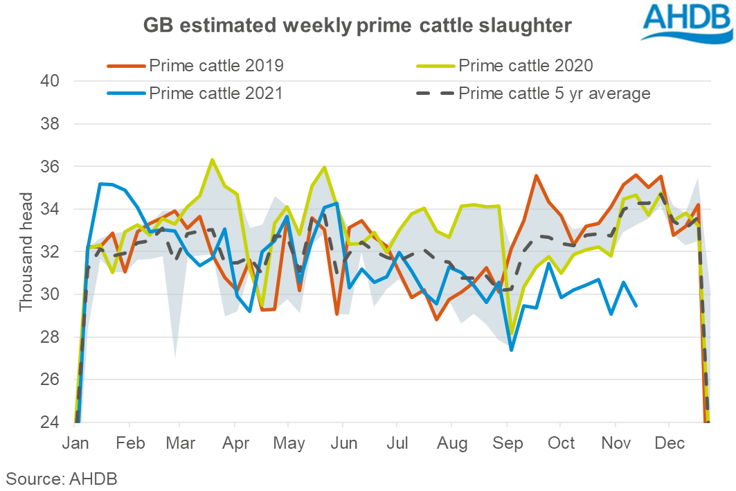 Estimated GB weekly prime cattle slaughter graph